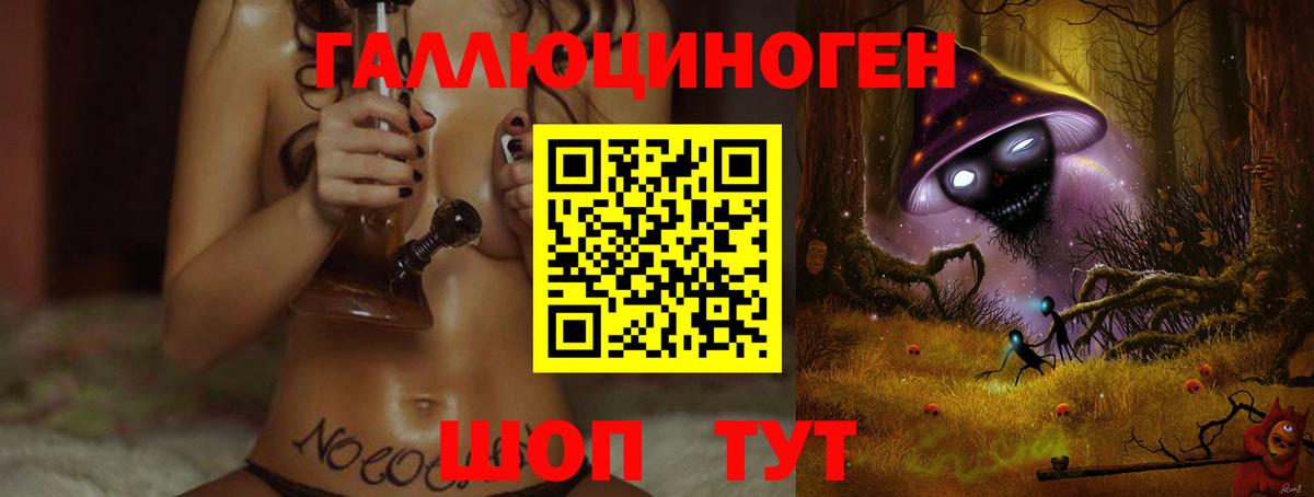 Псилоцибиновые грибы GOLDEN TEACHER  Вход с VPN  Железноводск 